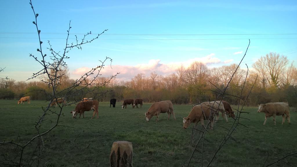 Les Chalets De Maramour Chazey-sur-Ain Zewnętrze zdjęcie